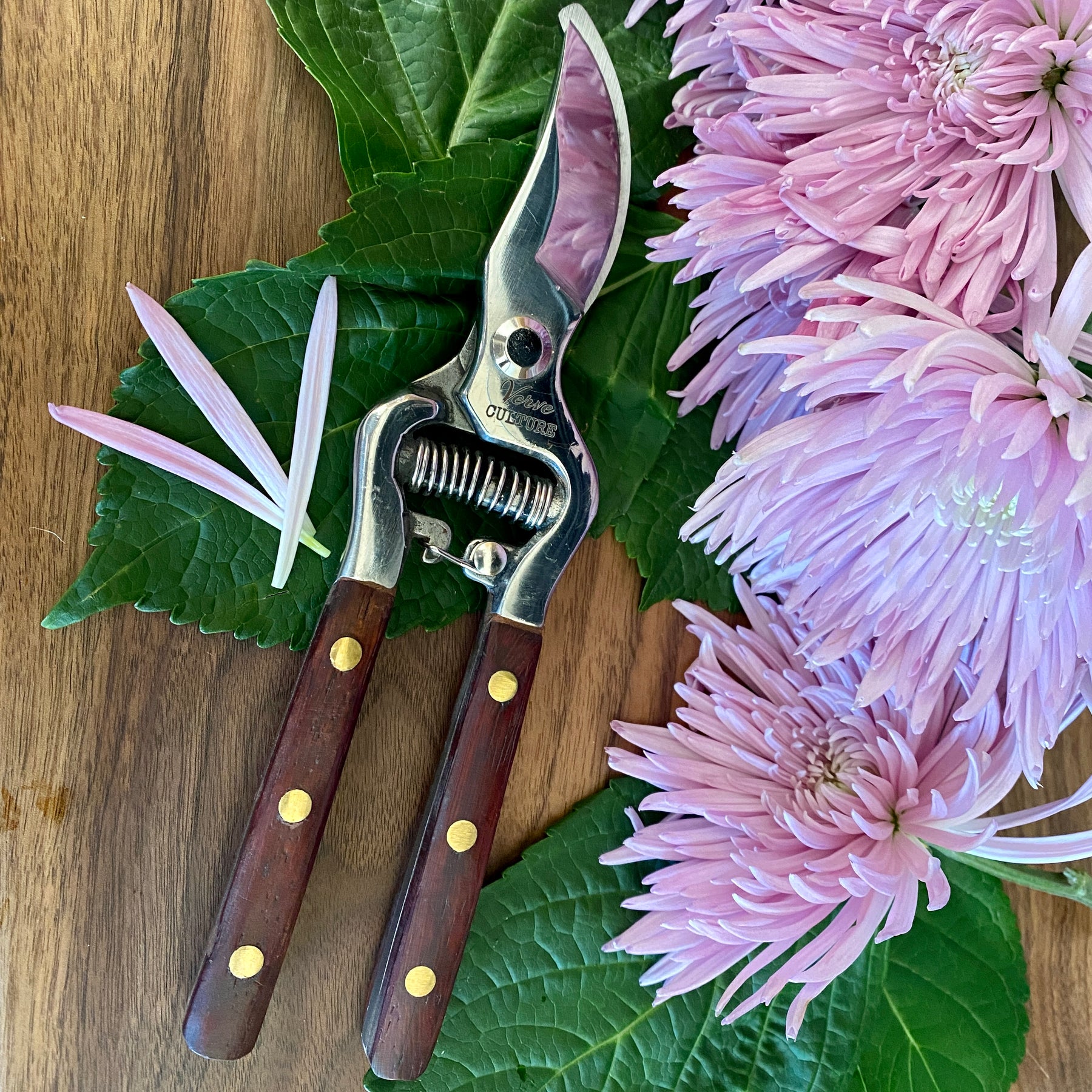 Verve sales hedge shears