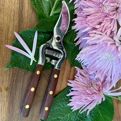 Verve Culture Thai Kitchen & Garden Shears - My Trove Box